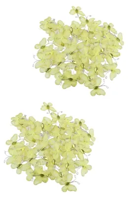 Produktbild von 2 Sets Schmetterlingsdraht mit Glitzer für Hochzeitsdekoration, 50 Stück * 2