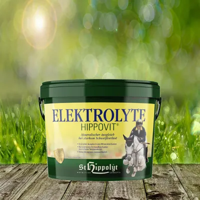 Produktbild von St.Hippolyt - 2,5kg - Elektrolyte Horse Care