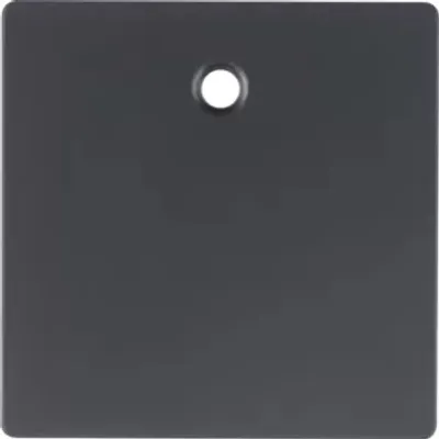 Produktbild von Berker 11466086, Anthrazit, Duroplast, Schraubenlos, Berker, Matte, Q.1/Q.3/Q.7/Q.9