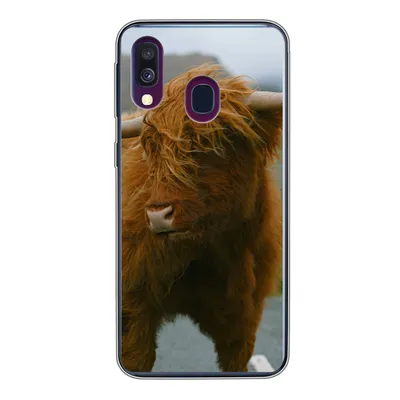 Produktbild von MuchoWow® Handyhülle Schutzhülle Hülle für Samsung Galaxy A40 Schottischer Highlander - Berg - Straße Silikon Softcase Handy Hülle - Handy-Tasche