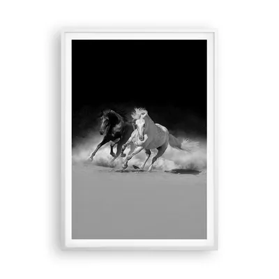 Produktbild von Gerahmtes Poster - Weißer Rahmen - Andalusier Pferde Galopp - 70x100 cm - Wand Bild - Wanddeko - Wandbilder - Wandposter - Bilderrahmen - Bilder - Kunstdruck - Wandbild - P2WPA70x100-4240