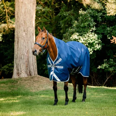 Zdjęcie produktu dla Koc konny Horseware do wypasu, rozmiar 130 - Amigo 1200D Wug Turnout, 50g - kolor: granatowy/szary tytanowy/srebrny