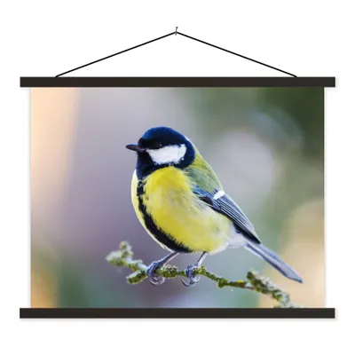 Produktbild von MuchoWow® Textilposter Kohlmeise - Vogel - Zweig 40x30 cm mit schwarzem Rahmen - Dekorationen