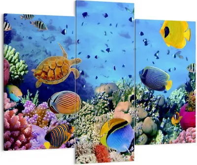 Produktbild von Bild auf Leinwand - Leinwandbild - Korallenriff - 130x100cm - Wand Bild - Wanddeko - Wandbilder - Leinwanddruck - Bilder - Kunstdruck - Wanddekoration - Leinwand bilder - Wandkunst - CB130x100-3569