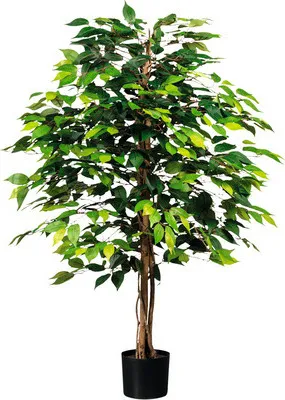 Produktbild von Kunstpflanze Ficus Benjamin Höhe: 120 cm grün