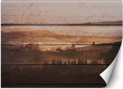 Produktbild von Vlies fototapete Wald aus alten Brettern 250x175 cm Feeby Braun inkl. Kleber einfache Montage