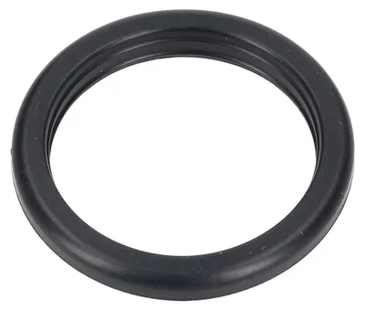 A black rubber ring, likely a gasket or seal.