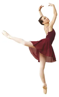 Obrázok produktu pre Sukňa Capezio, celá skladaná, zavinovacia, burgundská farba, univerzálna veľkosť
