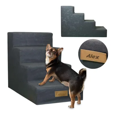 Produktbild von Hundetreppe 4 Stufen personalisiert mit Namen, Haustiertreppe, Einstiegshilfe für Hunde und Katzen, Treppe für ältere und kranke Tiere, Hunderampe