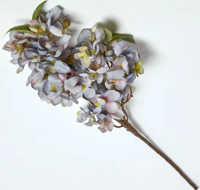 Produktbild von HOMESCAPES Künstlicher Obstblütenzweig blaue Blüten, 64 cm