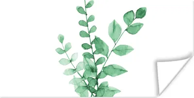 Produktbild von MuchoWow® Poster Aquarelle - Blätter - Pflanzen 160x80 cm - Foto Poster