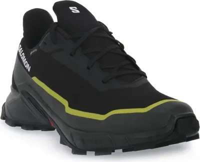 Produktbild von Schuhe Salomon Alphacross 5 Gtx 474604