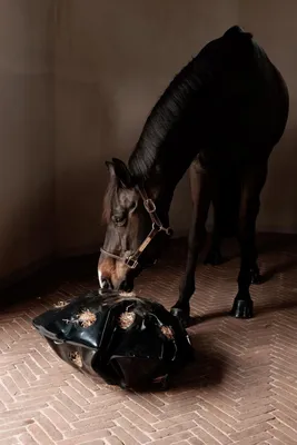 Immagine prodotto di Kentucky Play & Haybag Slow Round Feeder Argento 110 cm Argento 110 cm