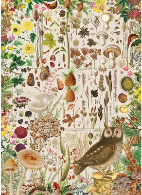 Obrázek produktu pro GIBSONS Puzzle Podzimní flóra 1000 dílků