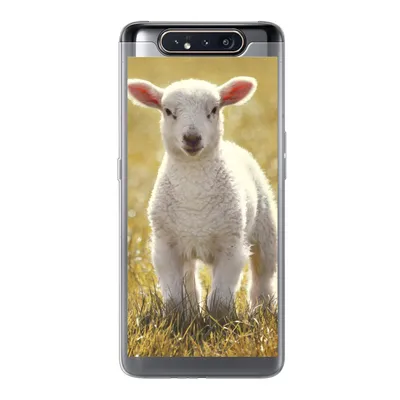 Produktbild von MuchoWow® Handyhülle Schutzhülle Hülle für Samsung Galaxy A80 Schafe - Gras - Sonne Silikon Softcase Handy Hülle - Schutzdeckel