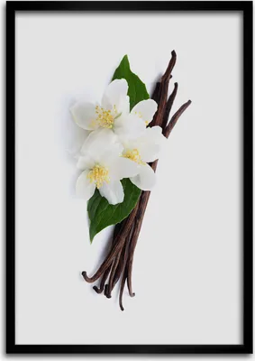 Produktbild von Bild - Bilderrahmen - Foto - 70 cm x 100 cm - MDF - Rahmen - Wandkunst - Jasmin und Vanille