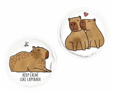 Produktbild von 2x Taschenwärmer Handwärmer wiederverwendbar capybara