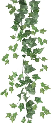 Imagen del producto de Hiedra artificial para decoración de paredes, 180 cm
