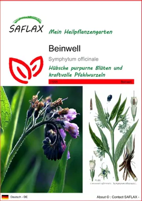 Produktbild von SAFLAX - Beinwell - Symphytum officinale - 15 Samen
