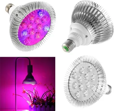 Immagine prodotto di 9W 12 LED E27 Rosso Blu Lampada di crescita per idroponica fiori piante verdure