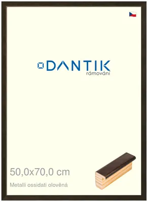 Obrázek produktu pro DANTIK rámeček 50x70 | Metalli oidati olověná (Plexi Čiré)