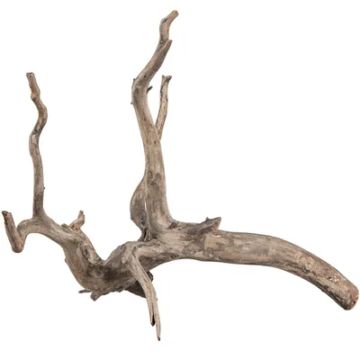 Productafbeelding van sera Scaper Root XS 18–20 cm | Fijne aquascaping-wortel voor zoetwateraquaria