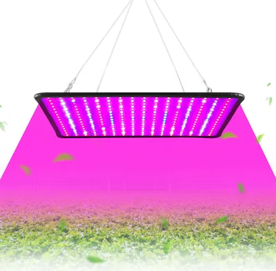 A grow light suspended above a field of plants, emitting a pinkish-purple light.