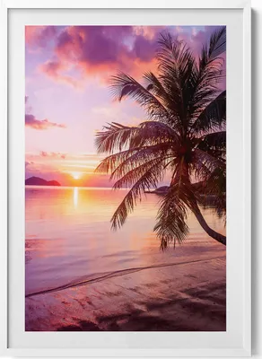 Produktbild von Palme am Strand bei Sonnenuntergang– Wandbild mit Rahmen – Gerahmtes Bild  – Wanddekoration – 70x100 cm –  Weiß Rahmen