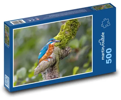 Zdjęcie produktu dla martinpuzzle - Puzzle 500 elementów - Ledňáček