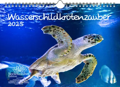 Produktbild von Wasserschildkrötenzauber DIN A4 Kalender für 2025 Wasserschildkrötenzauber - Seelenzauber