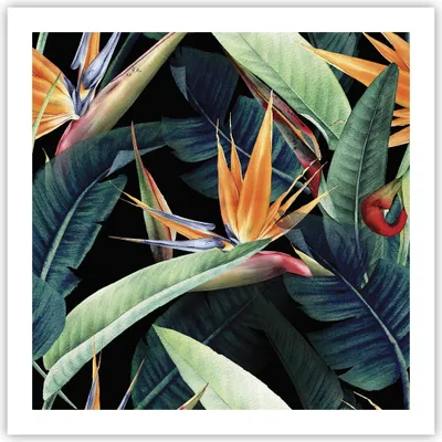 Produktbild von Poster - Poster ohne Rahmen - Pflanze Tropisch Blume - 60x60 cm - Wand Bild - Wanddeko - Wandbilder - Kunstposter - Wandposter - Bilder - Kunstdruck - Wanddekoration - Wandbild - P2XAC60x60-5093