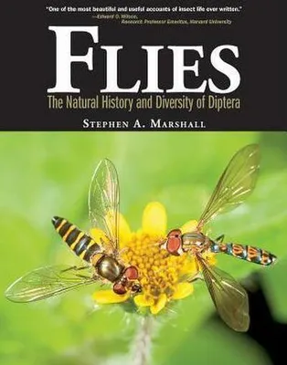 Produktbild von Flies