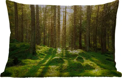 Produktbild von MuchoWow® Outdoor Kissen - Bäume - Wald - Moos - Pflanzen - Sonne - Natur - 50x30 cm - Wetterfest - Lounge Kissen - Sofa kissen - Wohnzimmer Dekoration