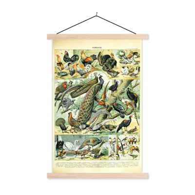 Produktbild von MuchoWow® Textilposter Tier - Vögel - Jahrgang 60x90 cm mit holzfarbenen Rahmen - Textil