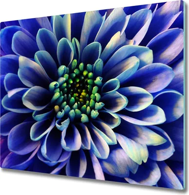 Produktbild von Glas Herdabdeckplatte 60x52 cm Spritzschutz Glasabdeckplatte Schneidebrett Aster