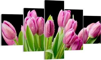 Produktbild von Bild auf Leinwand - Leinwandbild - Tulpen Blumenstrauß Tau Tropfen - 125x70cm - Wand Bild - Wanddeko - Leinwanddruck - Bilder - Kunstdruck - Leinwand bilder - Wandkunst - EA125x70-2486