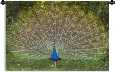 Produktbild von MuchoWow® Wandteppich Wandbehang Pfau - Federn - Pflanzen 90x60 cm Tapisserie Dekoration Wandtuch - Wandskulpturen - Bildteppich