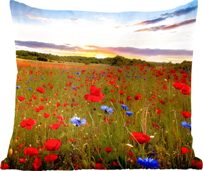 Produktbild von MuchoWow® Zierkissen Sofakissen Wohnzimmer Dekokissen 50x50 cm Blumen - Sonnenuntergang - Farben - Komfort - Sofakissen