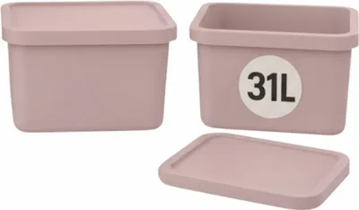 Produktbild von Plastard Boxen 31 L, 2er-Set, stapelbar, BPA-frei, Pink, mit Deckel