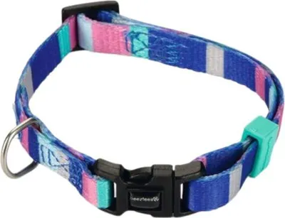 Image de Collier pour chien Beeztees Stripes coloré 20 - 30 cm