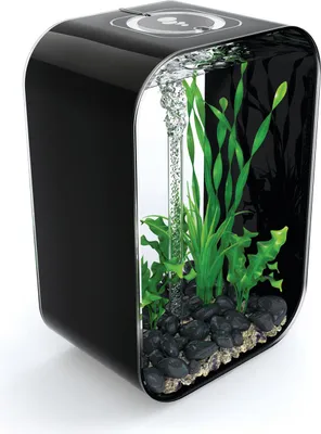 Produktbild von 45-liter-aquarium mit schwarzer umrandung Oase LIFE45MCR BLACK