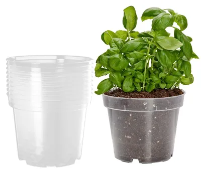 Immagine prodotto di Vaso per semina in plastica - Trasparente - Rotondo - 21 cm - 5 pezzi