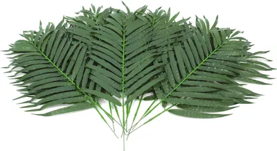 Obrázek produktu pro Europalms Kokos-Palmwedel künstlich 80cm 12x 82509895