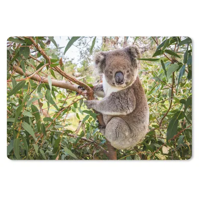 Produktbild von MuchoWow® Schreibtischunterlage Koala - Blätter - Kinder - Jungen - Mädchen 60x40 cm - XXL Mauspad - Großes Mauspad
