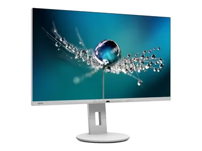 A Fujitsu monitor displaying a close-up image of a dandelion seed head with water droplets.