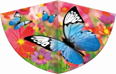 Produktbild von Drachen Schmetterling 75x48cm GÜNTHER 1176 Folie
