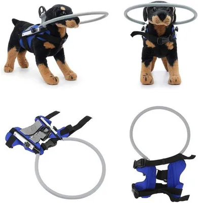 Image de Collier pour chiens et chats - Bleu - Réglable - Collier anti-collision - Collier pour chiens guides - Idéal pour les animaux malvoyants.