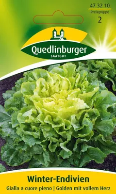 Zdjęcie produktu dla Quedlinburger Saatgut - WinterendivienŻółte serce - Samen - 473210
