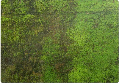 Produktbild von Moos auf der Oberfläche – Bodenschutzmatte – Stuhlunterlage 100x100 cm – Rutschfest – Hartbodenmatte