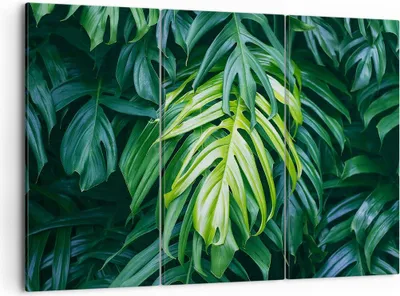Produktbild von Bild auf Leinwand - Leinwandbild - Blume Natur - 105x70cm - Wand Bild - Wanddeko - Wandbilder - Leinwanddruck - Bilder - Kunstdruck - Wanddekoration - Leinwand bilder - Wandkunst - CE105x70-3951